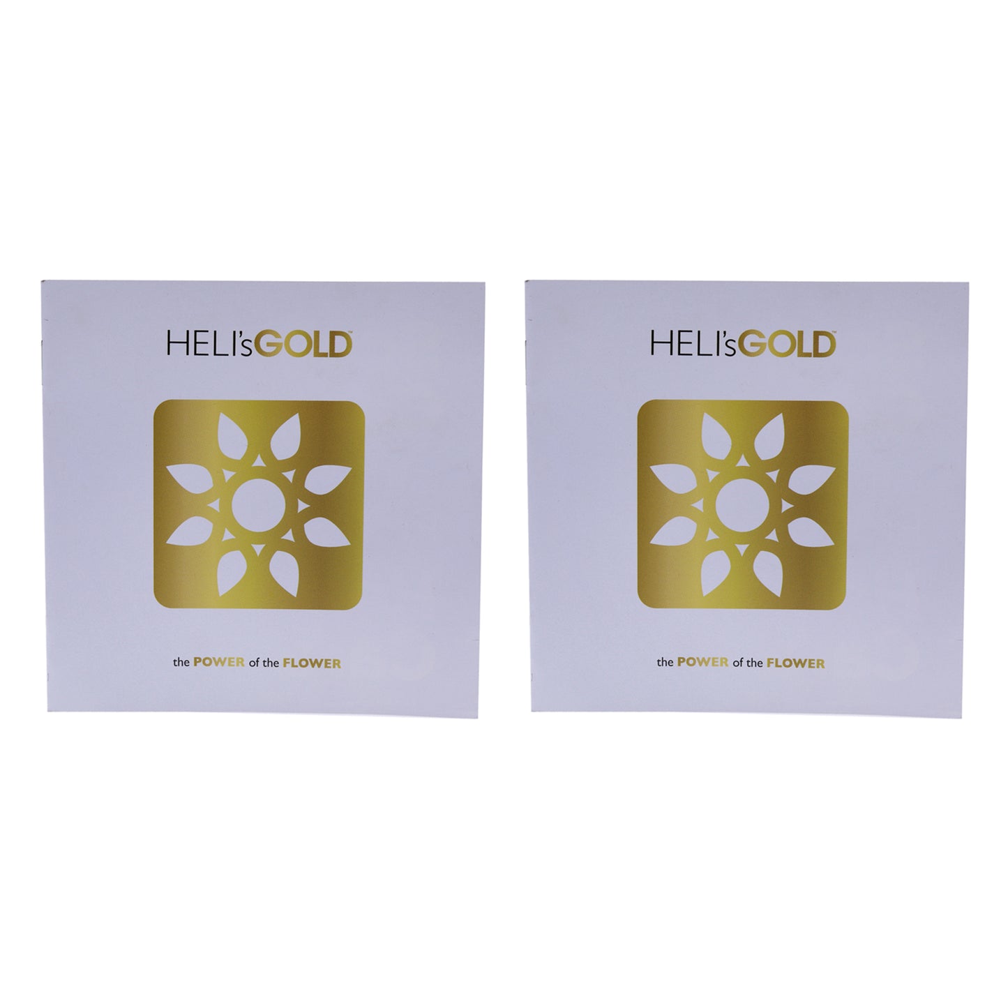 The Power Of The Flower Brochure - Small
