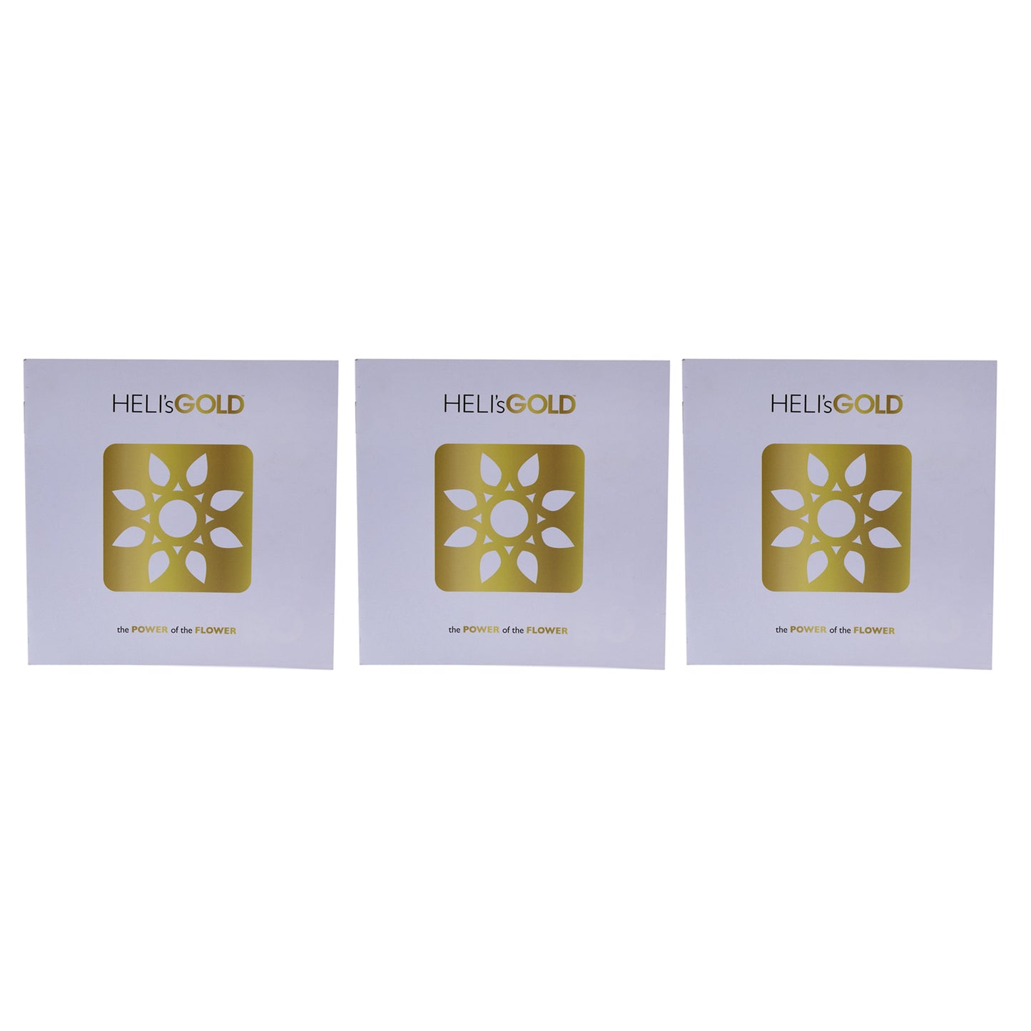 The Power Of The Flower Brochure - Small